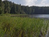 Išskirtinė, Unikali vieta - Antalieptės marių - nuotraukos Nr. 2