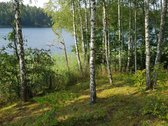 Išskirtinė, Unikali vieta - Antalieptės marių - nuotraukos Nr. 5