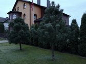 Aitvarų g., Balsiuose nuomojamas sublokuotas - nuotraukos Nr. 6