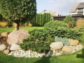 Aitvarų g., Balsiuose nuomojamas sublokuotas - nuotraukos Nr. 25