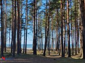 Tai sklypas norintiems ypatingai privačios ir - nuotraukos Nr. 13