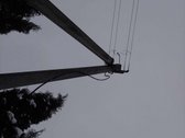 Parduodama nudęgusi sodyba, tvartas su 5,4 ha - nuotraukos Nr. 9