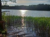 Prestižinėje vietoje ant Sarių ežero kranto