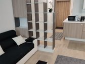 Išnuomojamas jaukus ir erdvus vieno kambario - nuotraukos Nr. 7