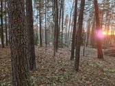 Yra pirties projektas ir nuotėkų įrenginių - nuotraukos Nr. 9