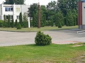 Parduodamas Tauragės rajone, Lomių kaime, - nuotraukos Nr. 7