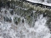 Parduodamas sklypas gražioje vietoje prie Neries. - nuotraukos Nr. 4