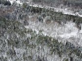 Parduodamas sklypas gražioje vietoje prie Neries. - nuotraukos Nr. 2