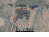 3,95 ha žemės ūkio paskirties žemės sklypas - nuotraukos Nr. 3