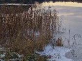 Yra pirties projektas ir nuotėkų įrenginių - nuotraukos Nr. 13