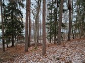 Yra pirties projektas ir nuotėkų įrenginių - nuotraukos Nr. 17