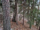 Yra pirties projektas ir nuotėkų įrenginių - nuotraukos Nr. 24