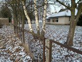 Ažytėnų kaime, Kėdainių rajone parduodamos - nuotraukos Nr. 17