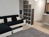 Išnuomojamas jaukus ir erdvus vieno kambario - nuotraukos Nr. 8