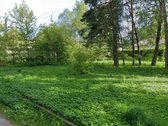 Greta Lazdynėlių, Bukčiuose, Bukčių pušyno - nuotraukos Nr. 6