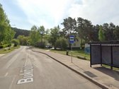 Greta Lazdynėlių, Bukčiuose, Bukčių pušyno - nuotraukos Nr. 7