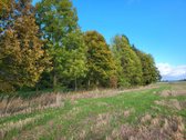 Parduodama sodyba su žeme (4,82 ha) - nuotraukos Nr. 2