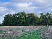 Parduodama sodyba su žeme (4,82 ha) - nuotraukos Nr. 6