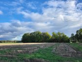 Parduodama sodyba su žeme (4,82 ha) - nuotraukos Nr. 7