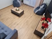 Nuomojamas šviesus, tvarkingas ir šiltas 1 - nuotraukos Nr. 2