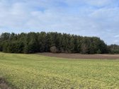 Parduodamas Žemės sklypas 5,28ha