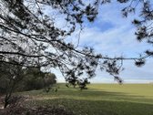 Parduodamas Žemės sklypas 5,28ha - nuotraukos Nr. 2