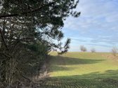 Parduodamas Žemės sklypas 5,28ha - nuotraukos Nr. 4