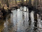 Parduodamas Žemės sklypas 5,28ha - nuotraukos Nr. 11