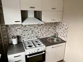 Išnuomojamas suremontuotas 1 kambario butas - nuotraukos Nr. 3