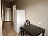 Išnuomojamas suremontuotas 1 kambario butas - nuotraukos Nr. 4