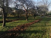 Biržų r. sav., Biržų m. - nuotraukos Nr. 4