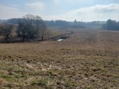 Lazdijų rajone, Paliūnų kaime, Beržų g.20 ir - nuotraukos Nr. 17