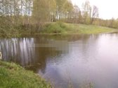 Vaizdingoje vietoje parduodamas žemės sklypas - nuotraukos Nr. 2