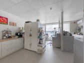 Paskirtis Medicininė