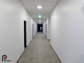 Šalia Urmo teritorijos, Taikos pr. 98 antrame - nuotraukos Nr. 7