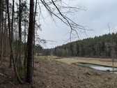 1,56ha kraštinis sklypas(1/3 miškas)unikalus - nuotraukos Nr. 3