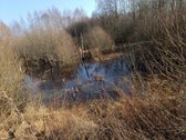 30 arų namų valdos sklypas, bendras 2,51 ha ploto - nuotraukos Nr. 16