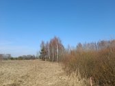 30 arų namų valdos sklypas, bendras 2,51 ha ploto - nuotraukos Nr. 21