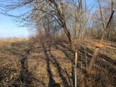 30 arų namų valdos sklypas, bendras 2,51 ha ploto - nuotraukos Nr. 20