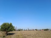 30 arų namų valdos sklypas, bendras 2,51 ha ploto - nuotraukos Nr. 22
