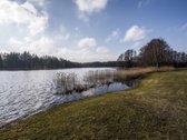 Parduodamas 4,39ha ploto žemės ūkio - nuotraukos Nr. 11