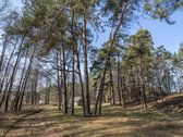 Parduodame 22 arų namų valdos sklypą su - nuotraukos Nr. 2