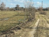 Parduodama sodyba Ignalinos raj. gamtos - nuotraukos Nr. 15