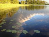 Parduodamas žemės sklypas su pakrante prie - nuotraukos Nr. 10