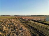Puikus 12 a. namų valdos sklypas, Velžio k. - nuotraukos Nr. 3