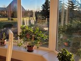 Atnaujinome Pardavimą Nepakėlę Kainos ! - nuotraukos Nr. 13