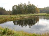Parduodami trys žemės ūkio paskirties sklypai - nuotraukos Nr. 7