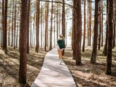 Išskirtinis pasiūlymas norintiems investuoti! - nuotraukos Nr. 32