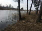 Parduodamas erdvus 25 a. sklypas puikioje - nuotraukos Nr. 4