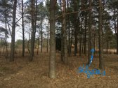 Parduodamas erdvus 25 a. sklypas puikioje - nuotraukos Nr. 5